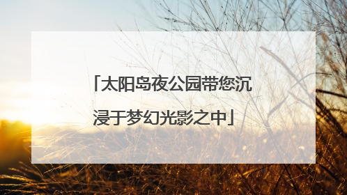 太阳岛夜公园带您沉浸于梦幻光影之中