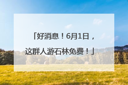 好消息！6月1日，这群人游石林免费！