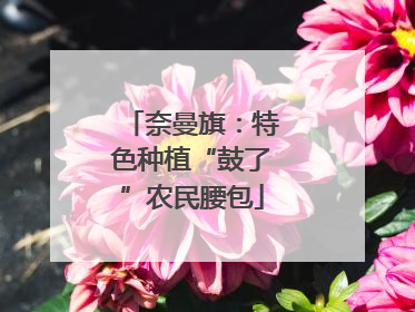 奈曼旗：特色种植“鼓了”农民腰包