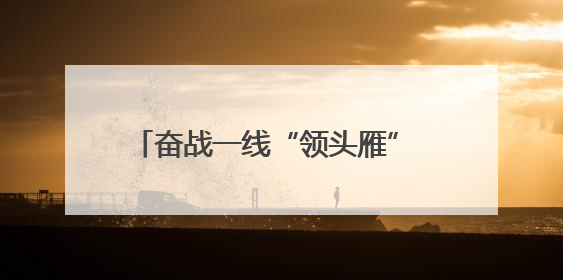 奋战一线“领头雁” 躬身实干“老黄牛”