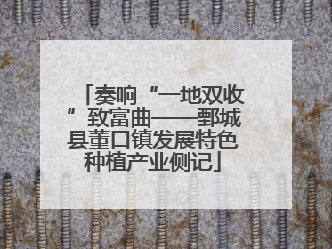 奏响“一地双收”致富曲——鄄城县董口镇发展特色种植产业侧记
