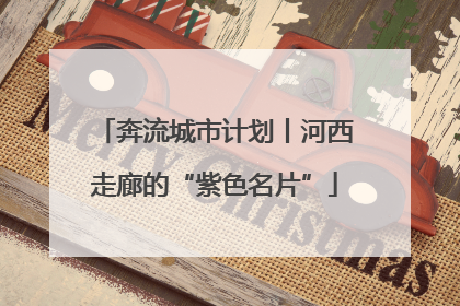 奔流城市计划丨河西走廊的“紫色名片”