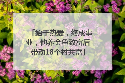 始于热爱，终成事业，他养金鱼致富后带动18个村共富