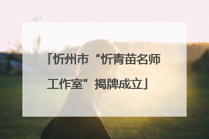 忻州市“忻青苗名师工作室”揭牌成立