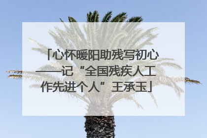 心怀暖阳助残写初心——记“全国残疾人工作先进个人”王承玉