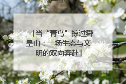当“青鸟”掠过舜皇山：一场生态与文明的双向奔赴
