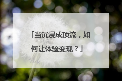 当沉浸成顶流，如何让体验变现？