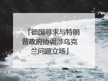 德国寻求与特朗普政府协调涉乌克兰问题立场