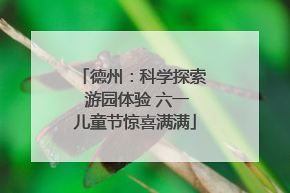 德州：科学探索 游园体验 六一儿童节惊喜满满