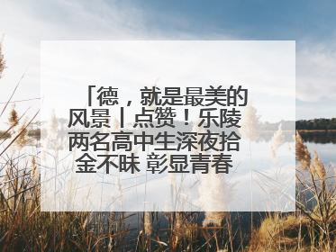 德，就是最美的风景丨点赞！乐陵两名高中生深夜拾金不昧 彰显青春正能量