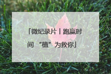 微纪录片丨跑赢时间 “植”为救你