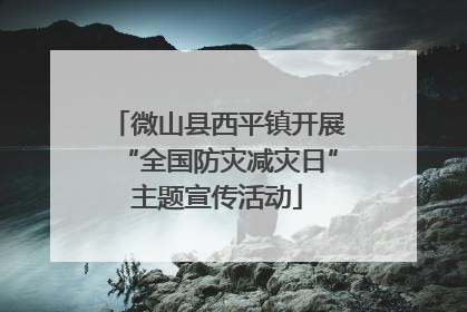 微山县西平镇开展“全国防灾减灾日”主题宣传活动
