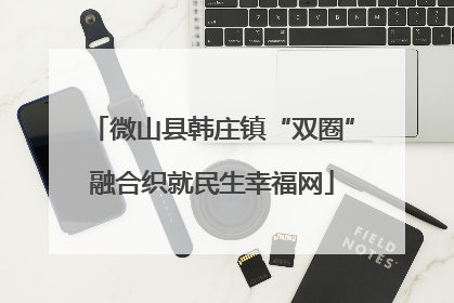 微山县韩庄镇“双圈”融合织就民生幸福网