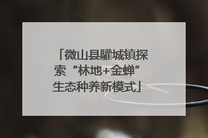 微山县驩城镇探索“林地+金蝉”生态种养新模式