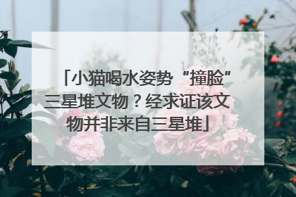 小猫喝水姿势“撞脸”三星堆文物？经求证该文物并非来自三星堆