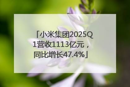 小米集团2025Q1营收1113亿元，同比增长47.4%