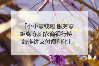 小小零钱包 服务零距离 东阳农商银行持续推进支付便利化