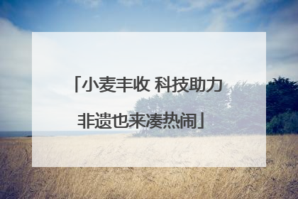 小麦丰收 科技助力 非遗也来凑热闹