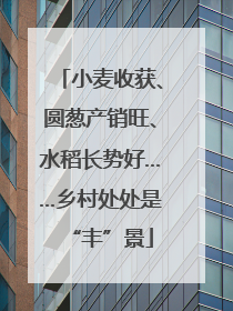 小麦收获、圆葱产销旺、水稻长势好……乡村处处是“丰”景