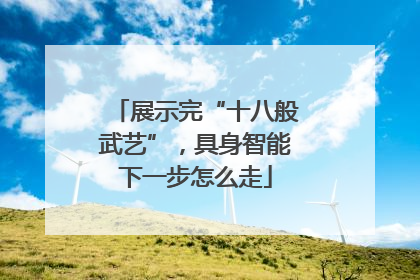 展示完“十八般武艺”，具身智能下一步怎么走
