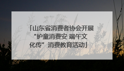 山东省消费者协会开展 “护童消费安 端午文化传”消费教育活动