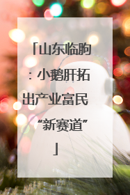 山东临朐：小鹅肝拓出产业富民“新赛道”