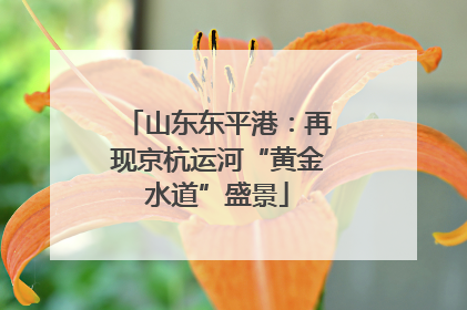 山东东平港：再现京杭运河“黄金水道”盛景
