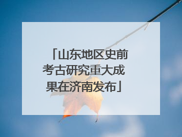 山东地区史前考古研究重大成果在济南发布
