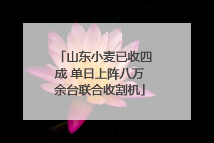 山东小麦已收四成 单日上阵八万余台联合收割机