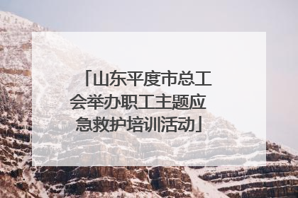 山东平度市总工会举办职工主题应急救护培训活动