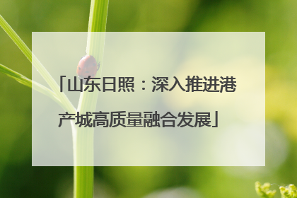 山东日照：深入推进港产城高质量融合发展