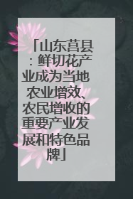 山东莒县：鲜切花产业成为当地农业增效、农民增收的重要产业发展和特色品牌