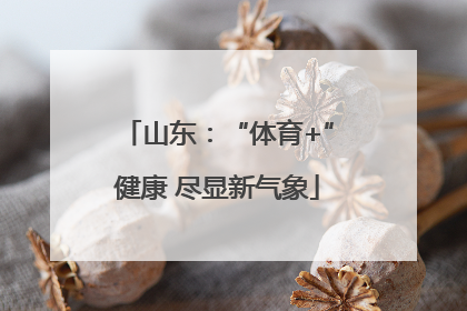 山东：“体育+”健康 尽显新气象