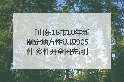 山东16市10年新制定地方性法规905件 多件开全国先河