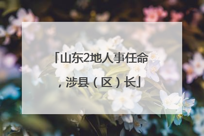 山东2地人事任命，涉县（区）长