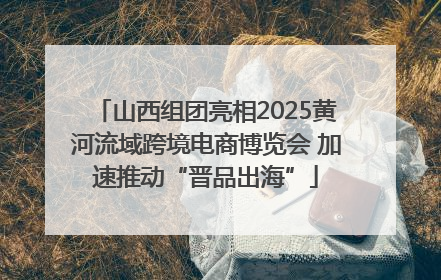 山西组团亮相2025黄河流域跨境电商博览会 加速推动“晋品出海”