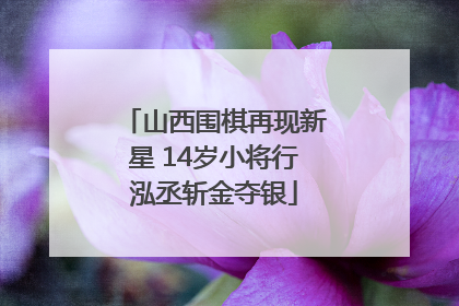 山西围棋再现新星 14岁小将行泓丞斩金夺银