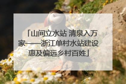 山间立水站 清泉入万家——浙江单村水站建设惠及偏远乡村百姓