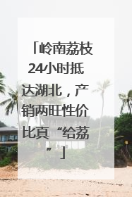岭南荔枝24小时抵达湖北，产销两旺性价比真“给荔”