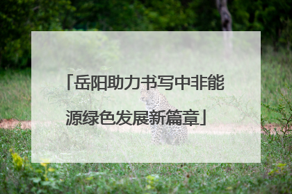 岳阳助力书写中非能源绿色发展新篇章