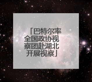 巴特尔率全国政协视察团赴湖北开展视察