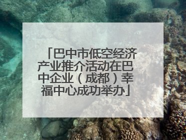 巴中市低空经济产业推介活动在巴中企业（成都）幸福中心成功举办