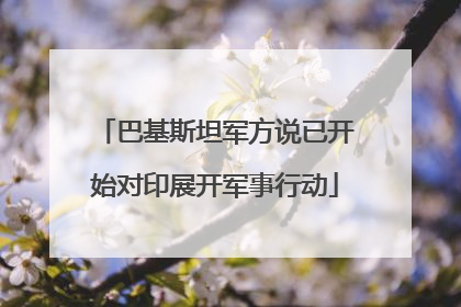 巴基斯坦军方说已开始对印展开军事行动