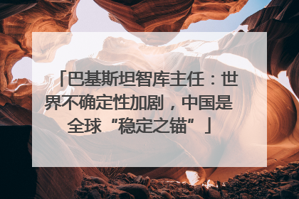 巴基斯坦智库主任：世界不确定性加剧，中国是全球“稳定之锚”