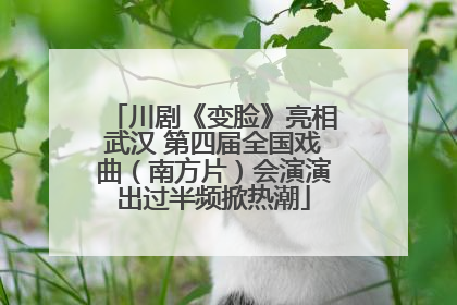 川剧《变脸》亮相武汉 第四届全国戏曲（南方片）会演演出过半频掀热潮