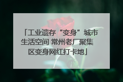 工业遗存“变身”城市生活空间 常州老厂聚集区变身网红打卡地