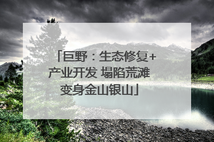 巨野：生态修复+产业开发 塌陷荒滩变身金山银山