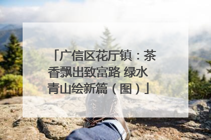 广信区花厅镇：茶香飘出致富路 绿水青山绘新篇（图）