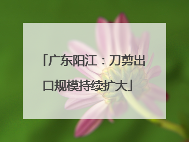 广东阳江：刀剪出口规模持续扩大