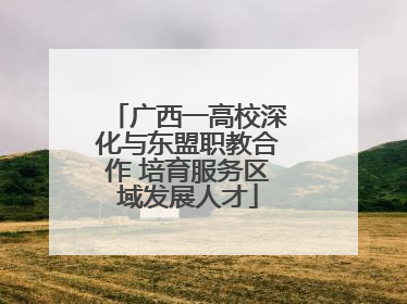 广西一高校深化与东盟职教合作 培育服务区域发展人才